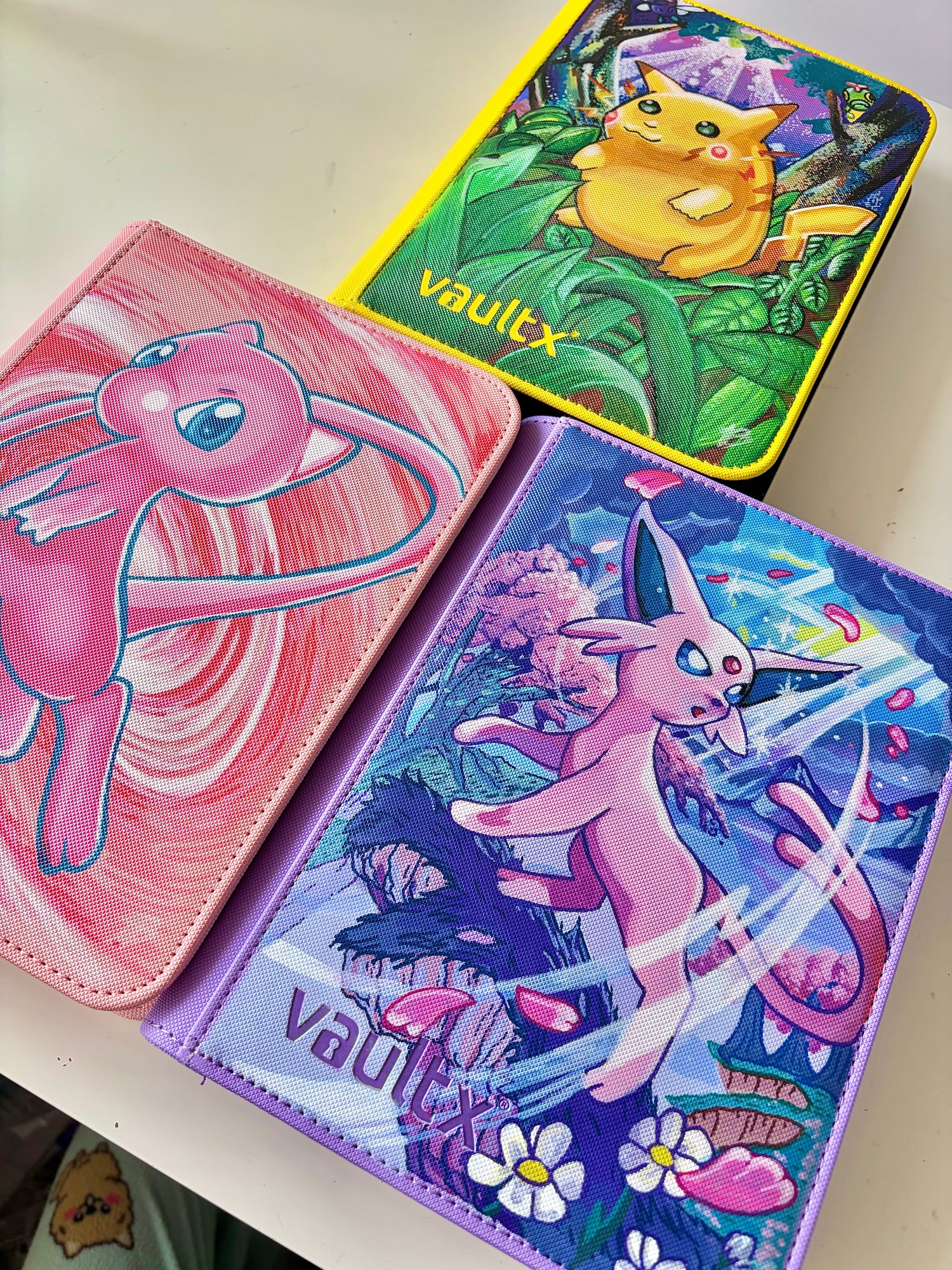 Pre-Painted Binders